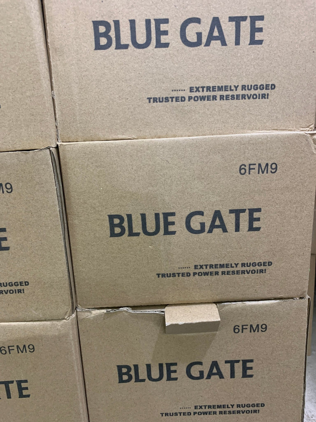 Bluegate ups battery - Joche
