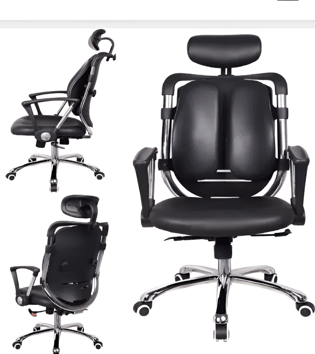 Kidney Ergonomic Chair - Joche