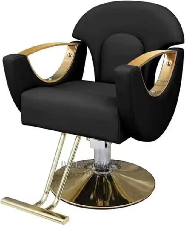 Salon chair - Joche